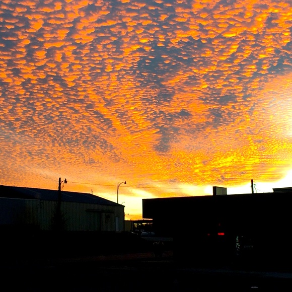 Meet your Posher, Whitney - Picture 12 of 13